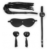 Эротический набор в черном цвете: маска, кляп, пэстисы, плётка - Notabu - купить с доставкой в Новочебоксарске