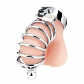 Серебристая клетка для члена Urethral Play Cage - BlueLine - купить с доставкой в Новочебоксарске
