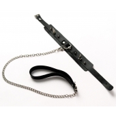 Черный ошейник с шипами и поводком - Crazy Handmade - купить с доставкой в Новочебоксарске