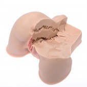 Мастурбатор-полуторс Naked Factory Kate - Naked Factory - в Новочебоксарске купить с доставкой