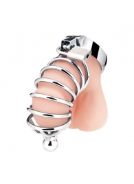Серебристая клетка для члена Urethral Play Cage - BlueLine - купить с доставкой в Новочебоксарске