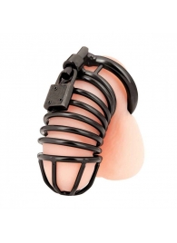 Черная металлическая клетка с замком Deluxe Chastity Cage - BlueLine - купить с доставкой в Новочебоксарске