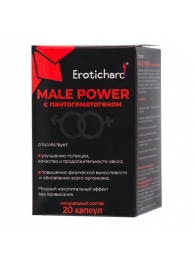 Капсулы для мужчин Erotichard male power с пантогематогеном - 20 капсул (0,370 гр.) - Erotic Hard - купить с доставкой в Новочебоксарске