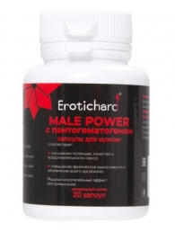 Капсулы для мужчин Erotichard male power с пантогематогеном - 20 капсул (0,370 гр.) - Erotic Hard - купить с доставкой в Новочебоксарске