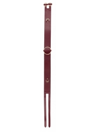 Бордовый ремень Halo Waist Belt - размер L-XL - Shots Media BV - купить с доставкой в Новочебоксарске
