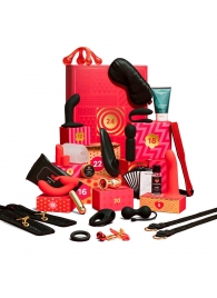 Адвент-календарь Lovehoney Couple’s Advent Calendar 2025 - We-vibe - купить с доставкой в Новочебоксарске