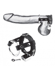 Утяжка на пенис на замочке Duo Cock And Ball Lock - BlueLine - купить с доставкой в Новочебоксарске