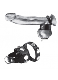 Утяжка для мошонки и пениса Cock Ring With 1  Ball Stretcher And Optional Weight Ring - BlueLine - купить с доставкой в Новочебоксарске