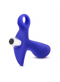 Синий стимулятор простаты с ручкой-кольцом Performance Prostimulator 02 - Blush Novelties - в Новочебоксарске купить с доставкой