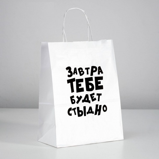 Подарочный пакет  Завтра тебе будет стыдно  - 30 х 24 см. - UPAK LAND - купить с доставкой в Новочебоксарске