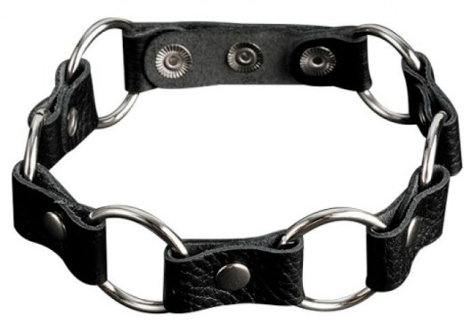 Кожаный черный ошейник с кольцами - Sitabella - купить с доставкой в Новочебоксарске