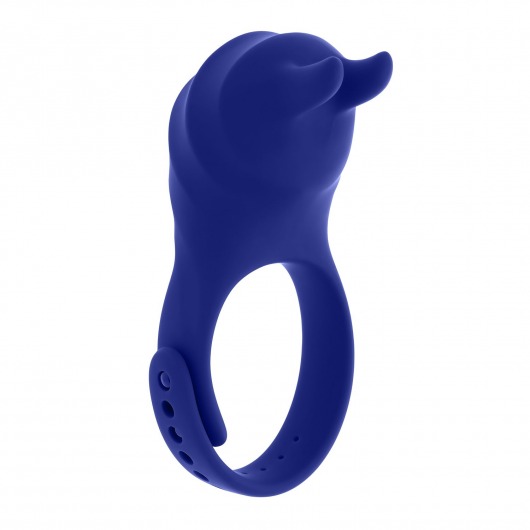 Синее эрекционное виброкольцо с клиторальной подушечкой и пультом ДУ Adjustable Fun Ring - Zero Tolerance - в Новочебоксарске купить с доставкой
