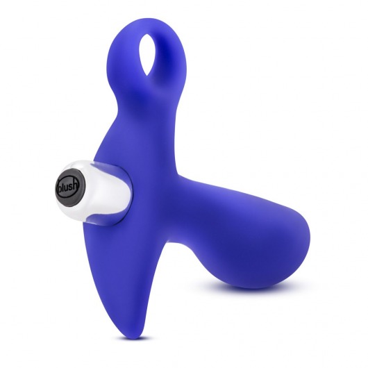 Синий стимулятор простаты с ручкой-кольцом Performance Prostimulator 02 - Blush Novelties - в Новочебоксарске купить с доставкой