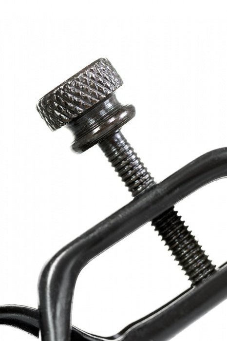 Черно-золотистые зажимы для сосков TOYFA Theatre - ToyFa - купить с доставкой в Новочебоксарске