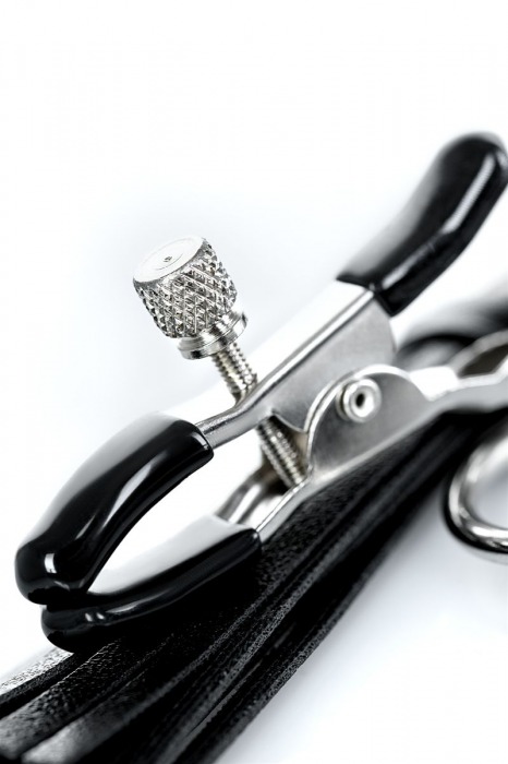 Черно-серебристые зажимы для сосков Theatre с кисточками - ToyFa - купить с доставкой в Новочебоксарске